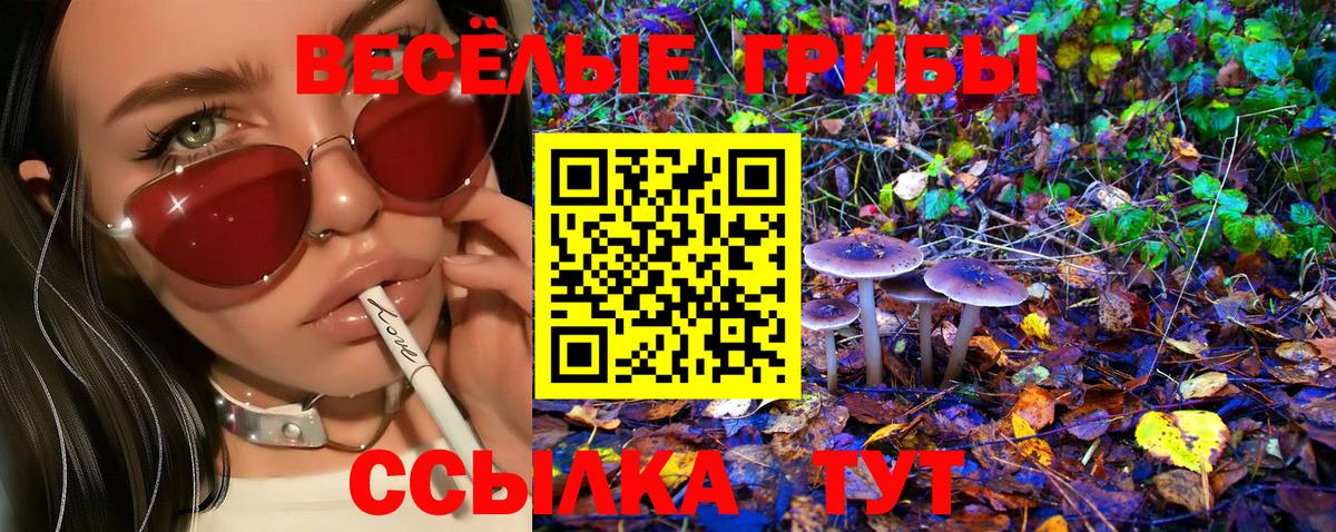 Псилоцибиновые грибы прущие грибы Черняховск