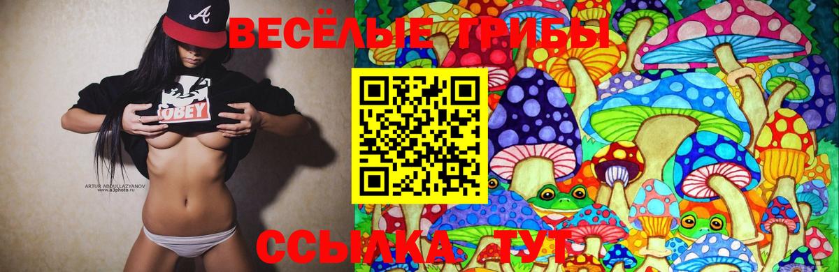 Псилоцибиновые грибы Magic Shrooms  Вход с VPN  Псилоцибиновые грибы GOLDEN TEACHER  Черняховск 