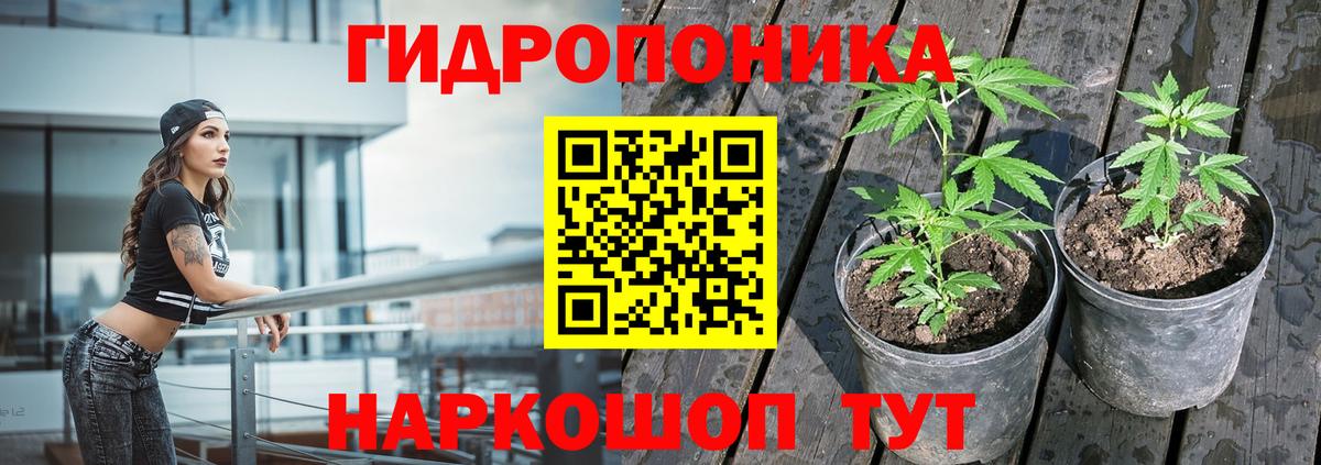 Черняховск  МАРИХУАНА White Widow  Вход с VPN  МАРИХУАНА Ganja 