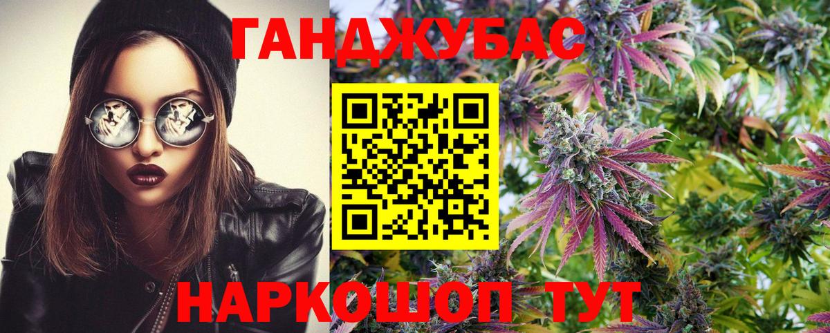 Конопля гибрид Черняховск